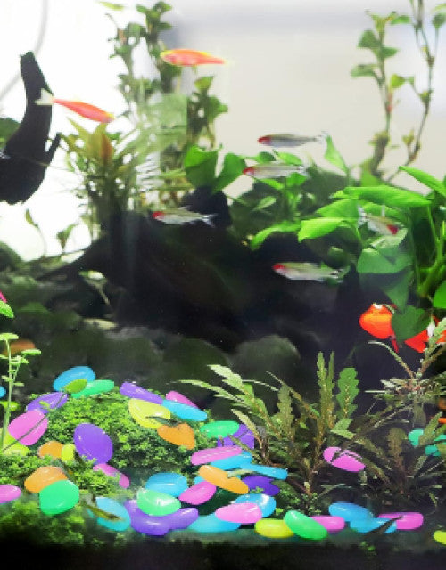 Garden Decor Luminous Stones Glow In Dark Decorative Pebbles Outdoor Fish Tank Decoration ( 100 Pcs )  (1)