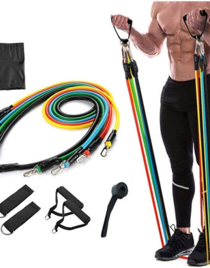 Resistance Exercise Bands with Door Anchor, Handles, Waterproof Carry Bag, and Legs Ankle Straps  (1)