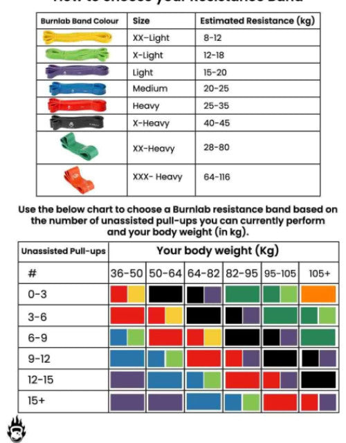 Resistance Exercise Bands with Door Anchor, Handles, Waterproof Carry Bag, and Legs Ankle Straps  (1)