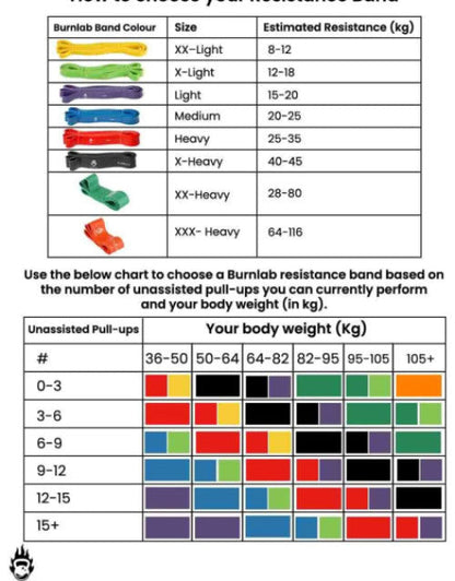 Resistance Exercise Bands with Door Anchor, Handles, Waterproof Carry Bag, and Legs Ankle Straps  (1)